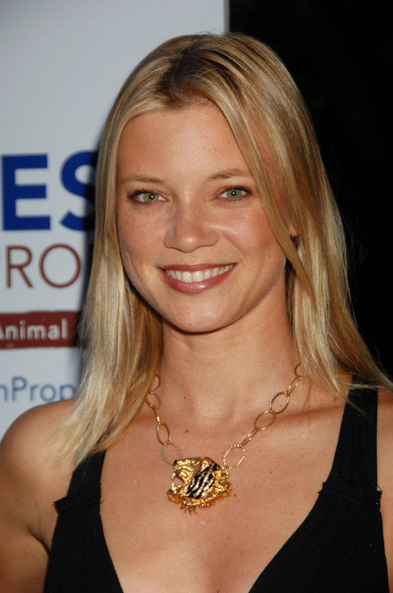 Amy Smart Actress Black Dress Wallpaper