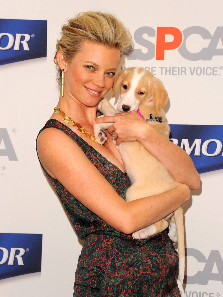 Amy Smart Dog Wallpaper