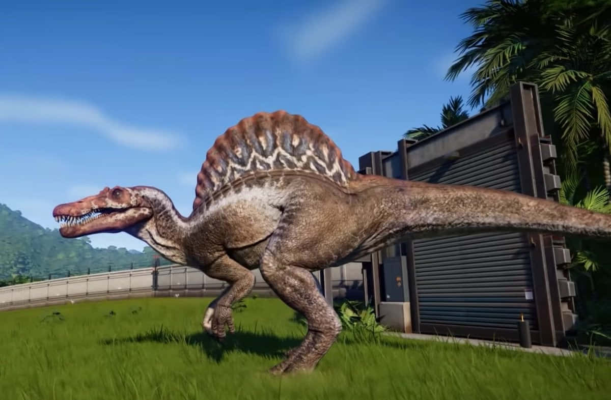 An Ancient Spinosaurus Dinosaur Fossil Wallpaper