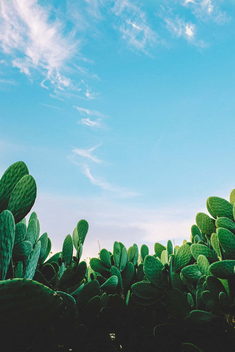 An Artful Fusion Of Blue And Green Aesthetics Wallpaper