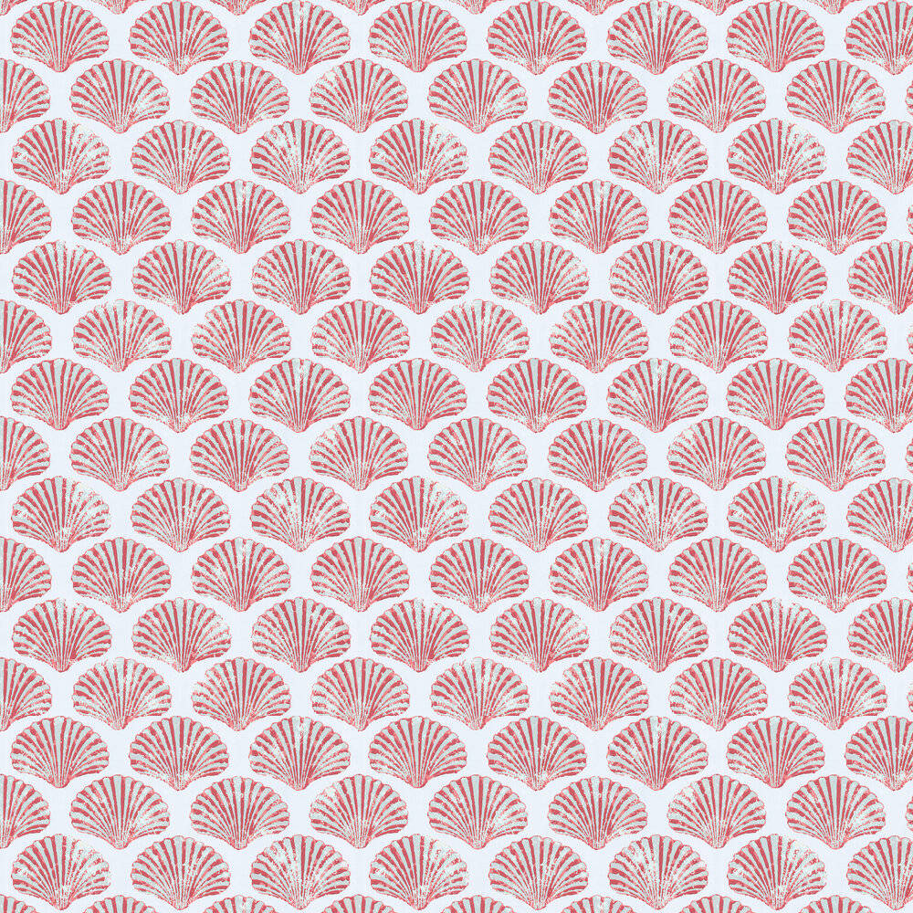 An Artistic Collage Of Scallops Shells In Shades Of Pink And White Wallpaper