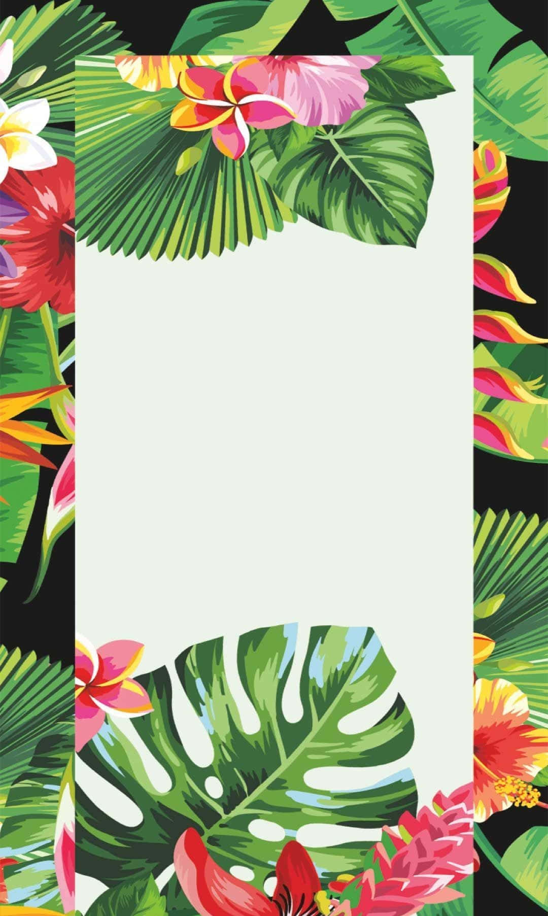 An Exotic Tropical Paradise Is An Aesthetic For Any Summer Adventure Wallpaper