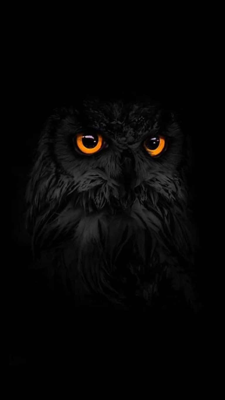 An Owl With Orange Eyes In The Dark Wallpaper