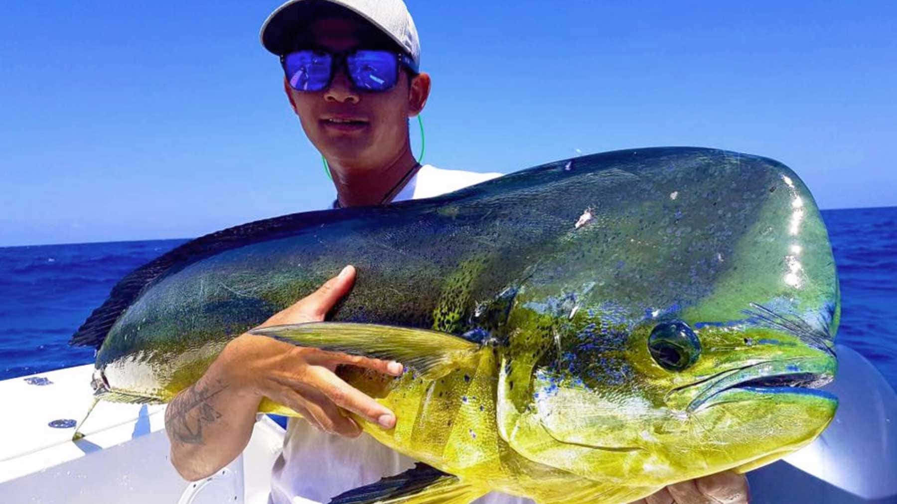 Anglerwith Large Mahi Mahi Catch Wallpaper