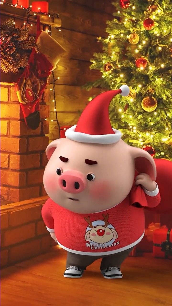 Angry Christmas Piggy Wallpaper