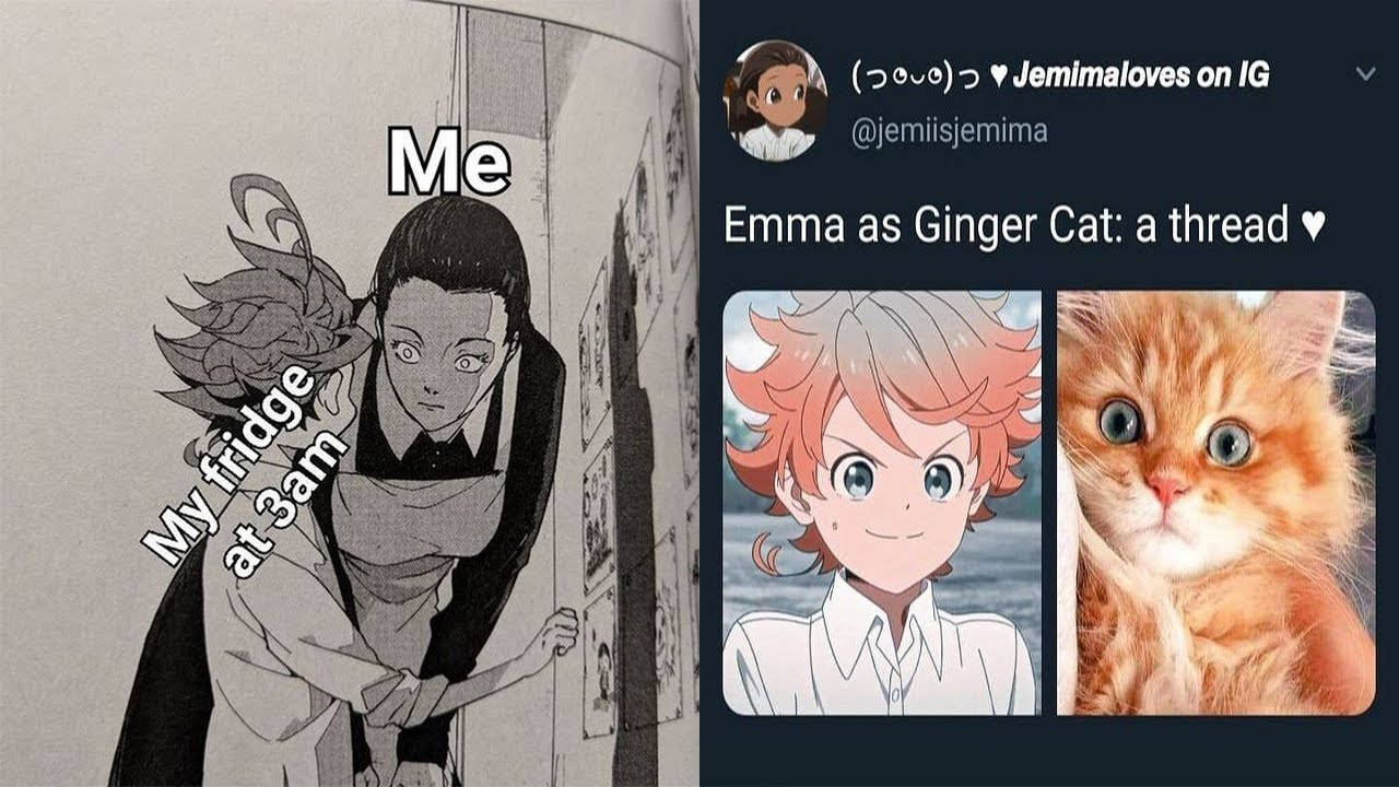 Anime Meme Emma Wallpaper