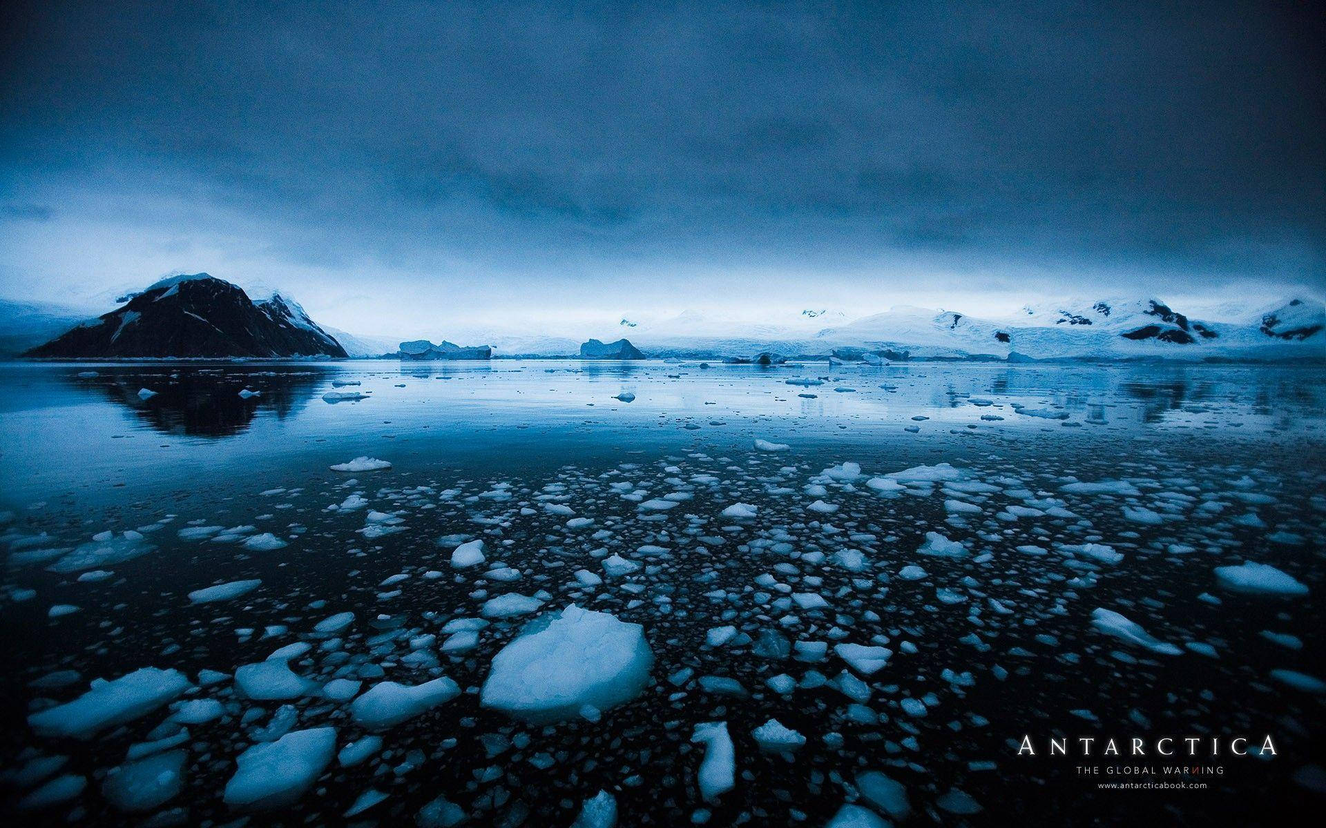 Antarctica Picture Background Images, HD Pictures and Wallpaper For Free  Download | Pngtree