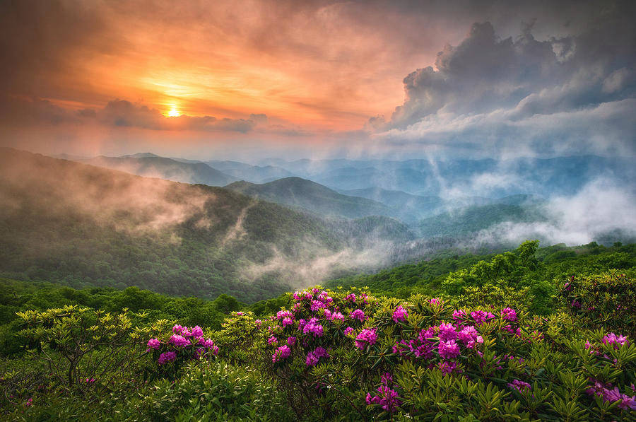 Appalachian Trail North Carolina Wallpaper