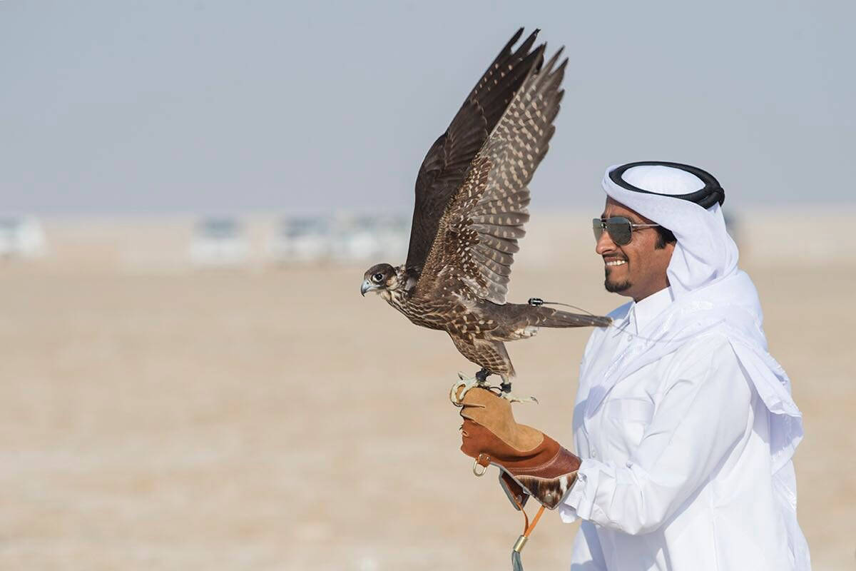 Arab Man Carries Falcon Qatar Wallpaper