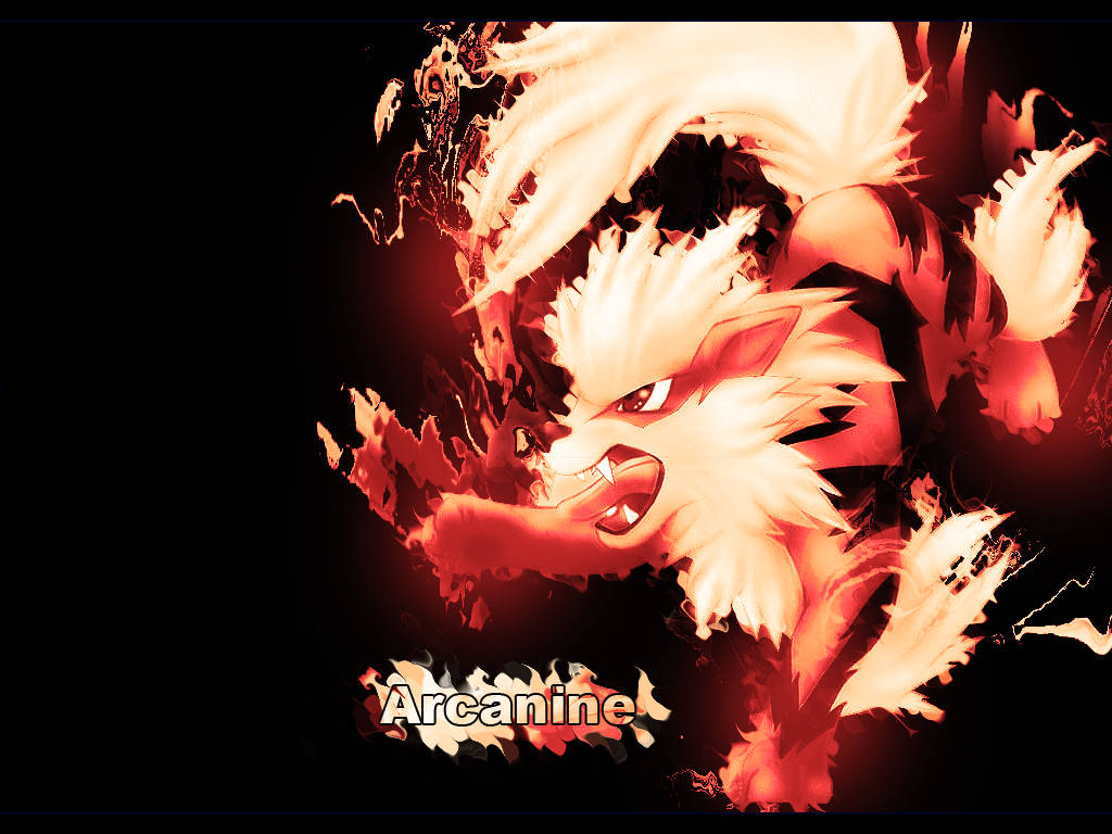 Arcanine Name Flaming Body Wallpaper