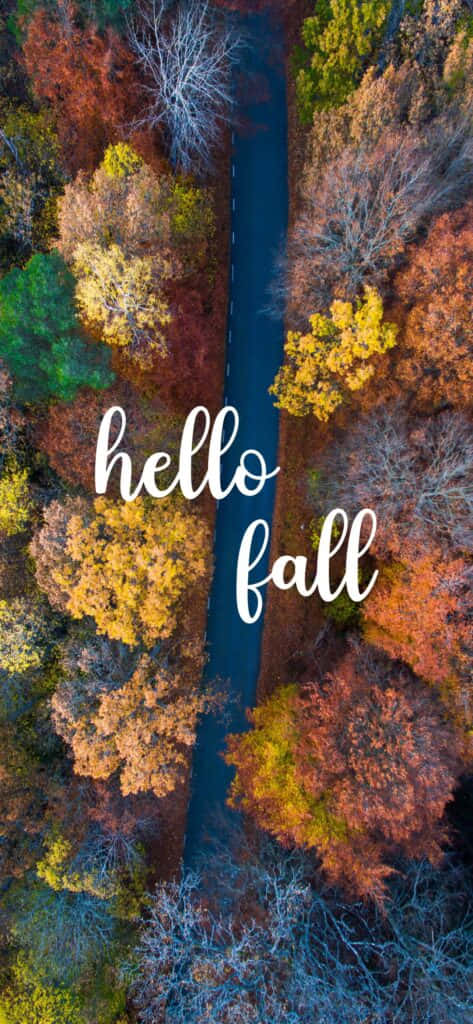 Autumn Has Arrived Wallpaper