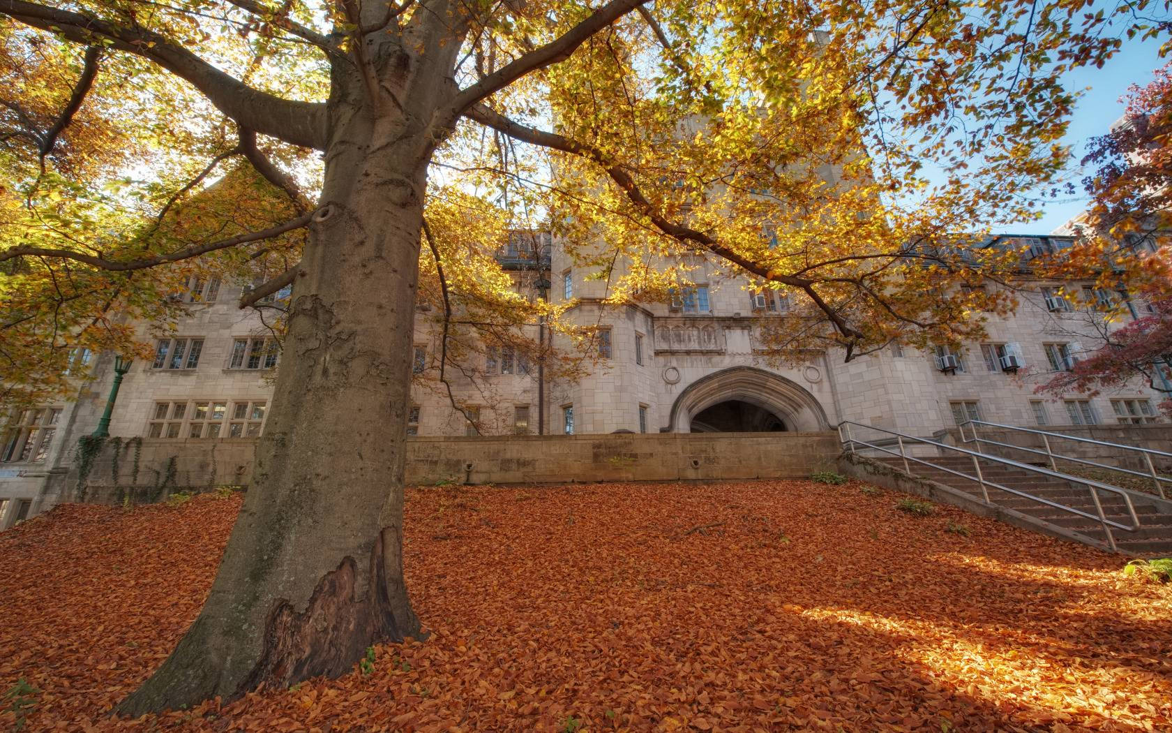 Autumn Morrison Hall Indiana University Bloomington Wallpaper