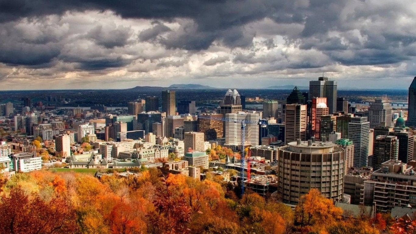 Autumn Quebec City Trees Wallpaper