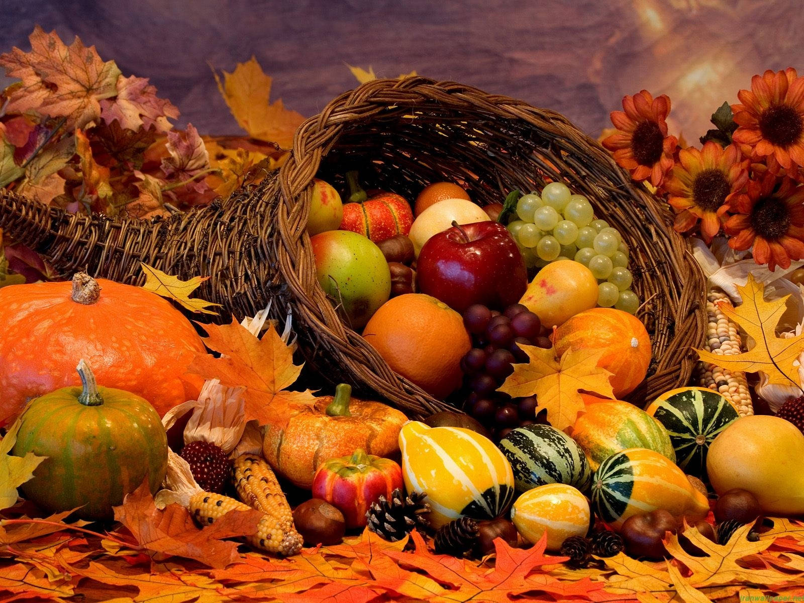 Autumn Season Fruits Basket Wallpaper
