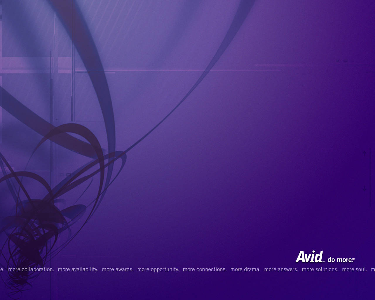 Avid Violet Wallpaper Wallpaper