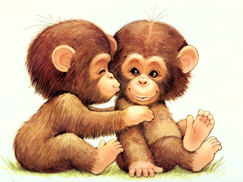 Baby Monkey Twins Wallpaper