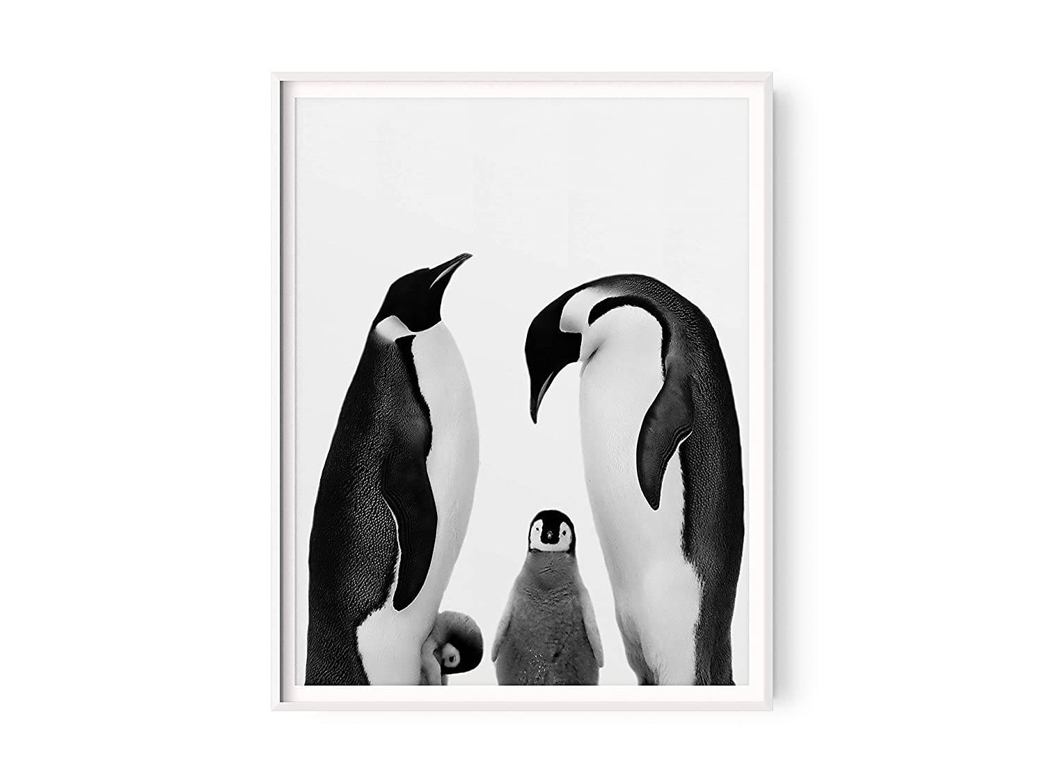 Baby Penguins And Parents Portrait Wallpaper