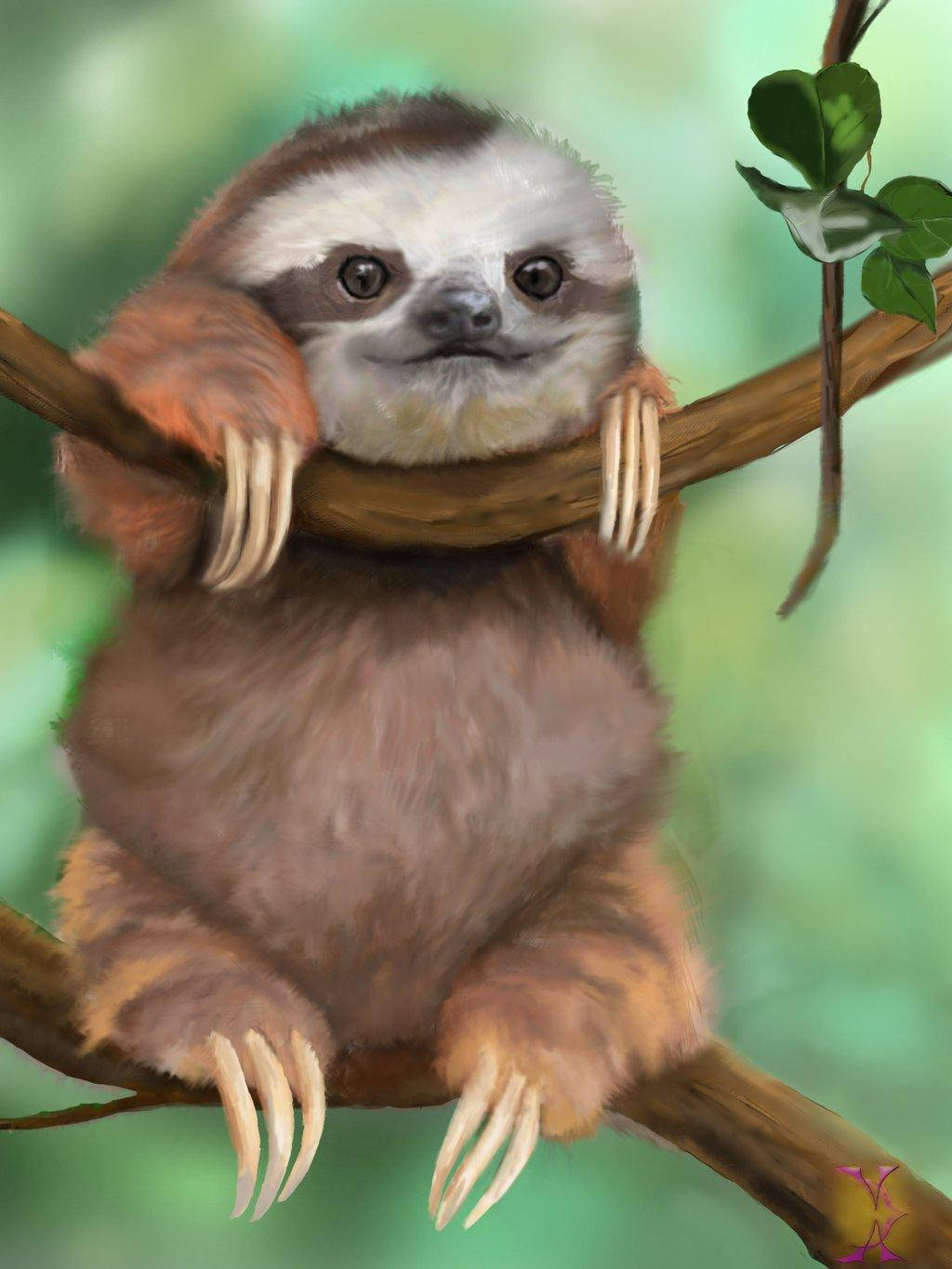 Baby Sloth Digital Paint Wallpaper