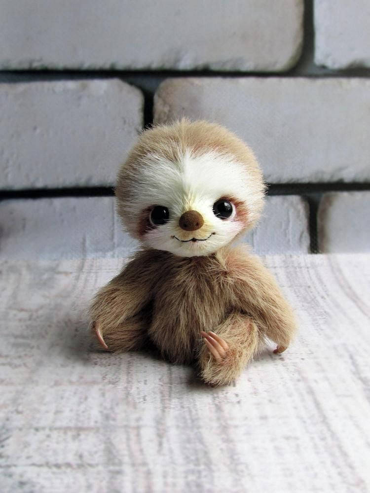 Baby Sloth Stuffed Animal Wallpaper