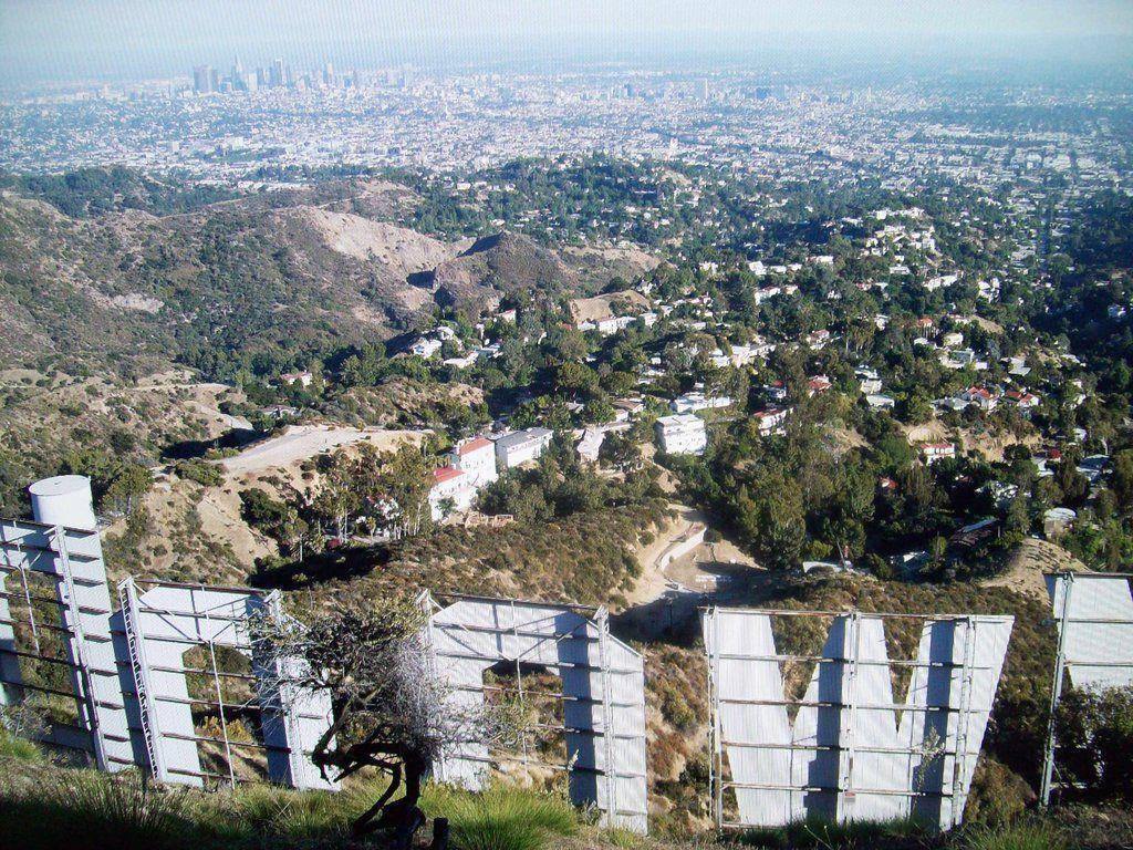 Back Of Hollywood Sign Wallpaper