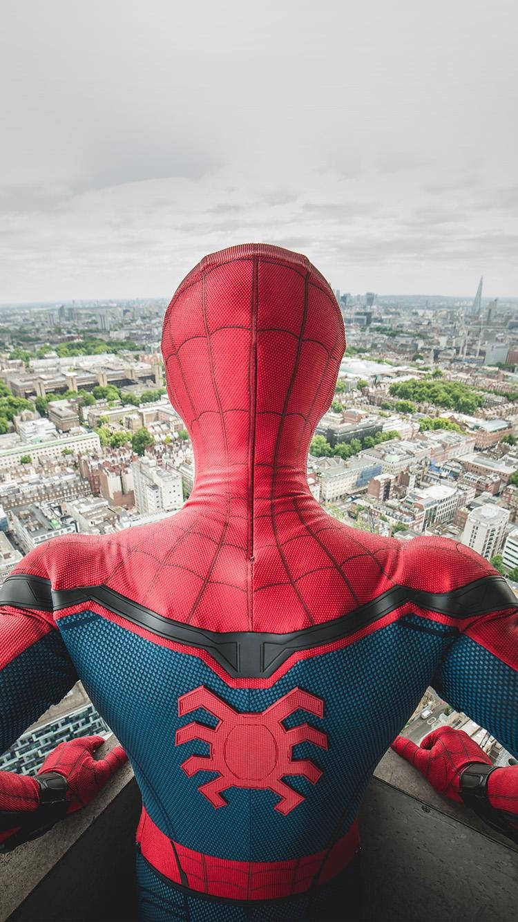 Back View Spider Man Iphone Wallpaper