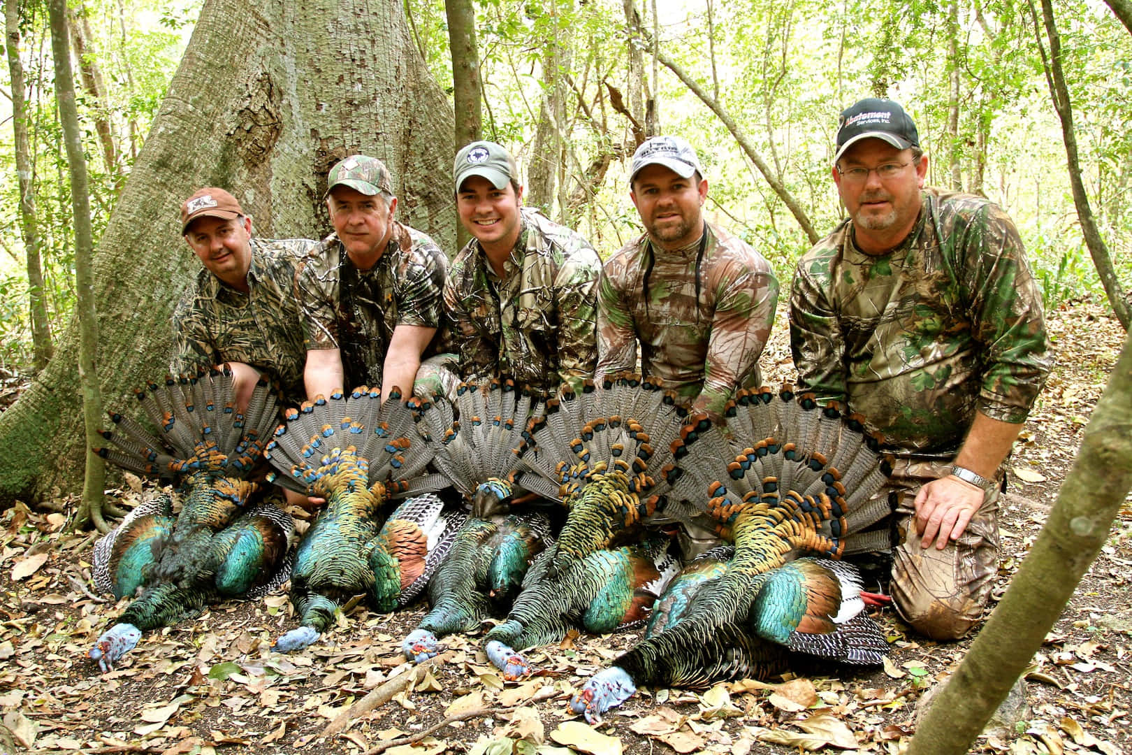 Bag The Biggest Bird On Your Next Turkey Hunt Wallpaper