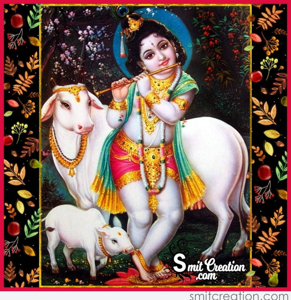Bal Krishna Playing Flute With Cows Wallpaper