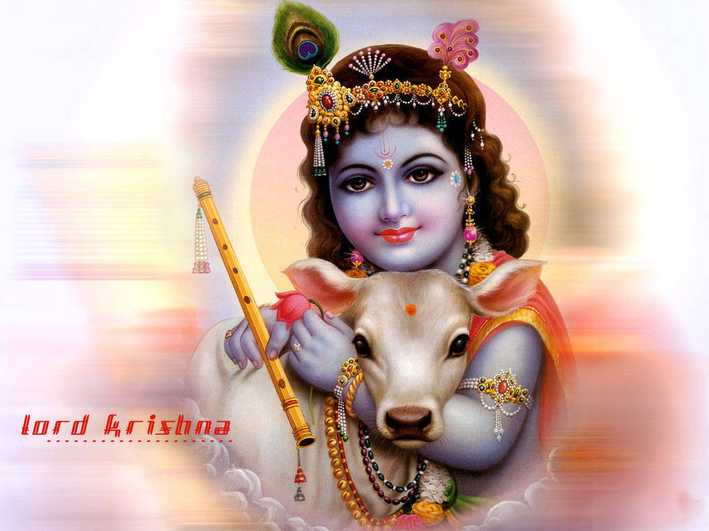 Bal Krishna With Flute While Hugging A Calf Wallpaper