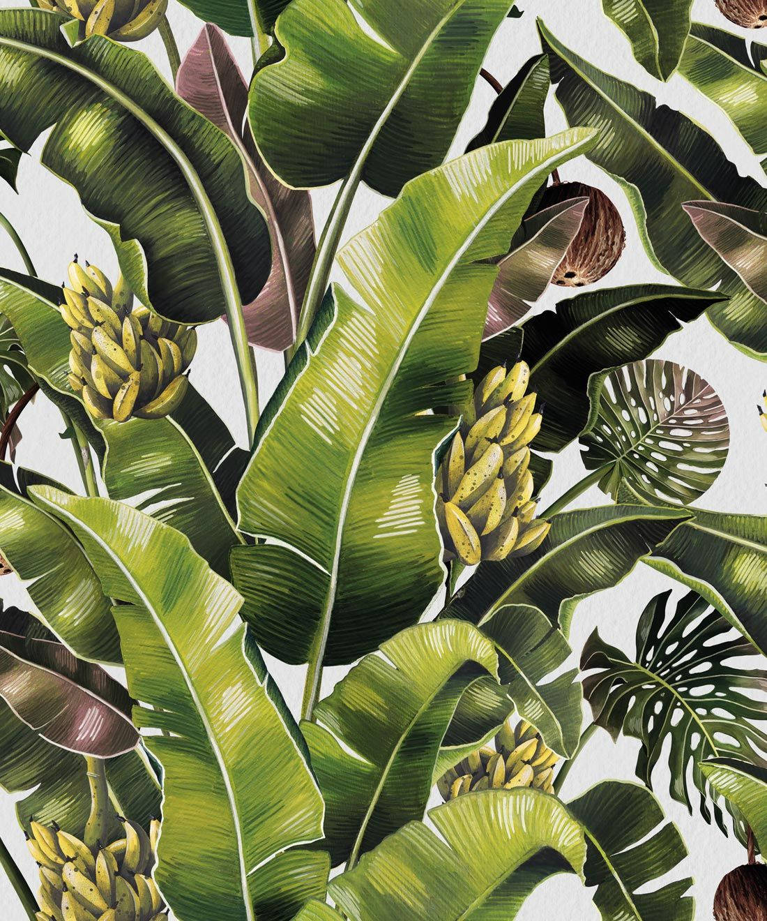 Banana Leaf And Tropical Fruits Wallpaper