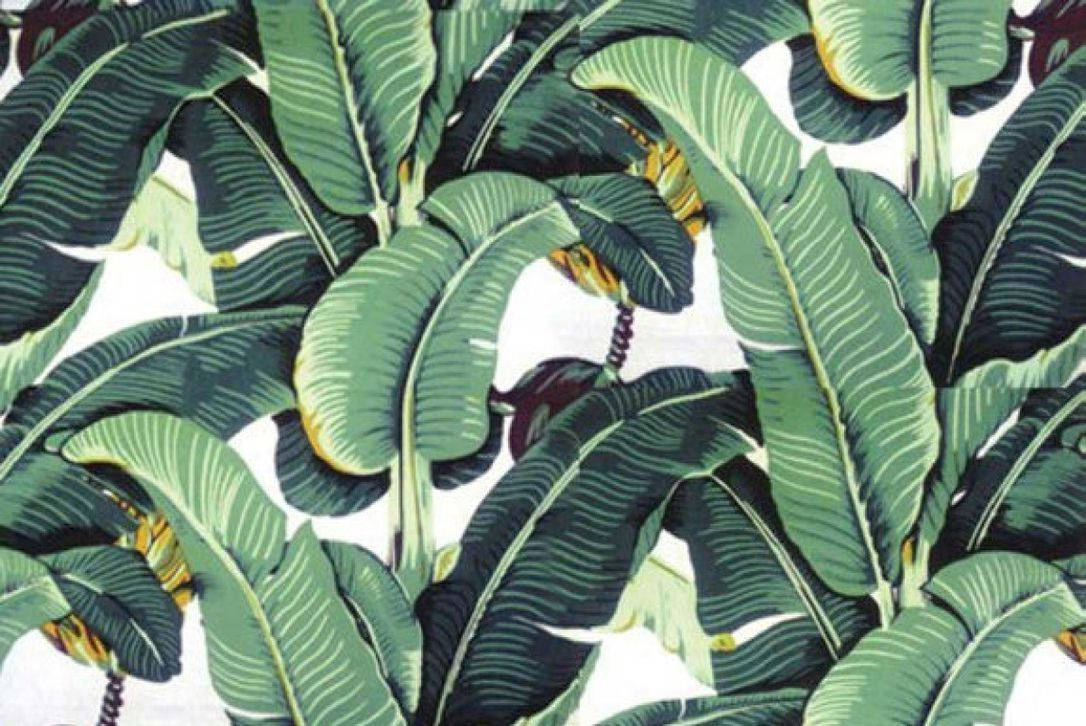 Banana Leaf Vector Art Wallpaper