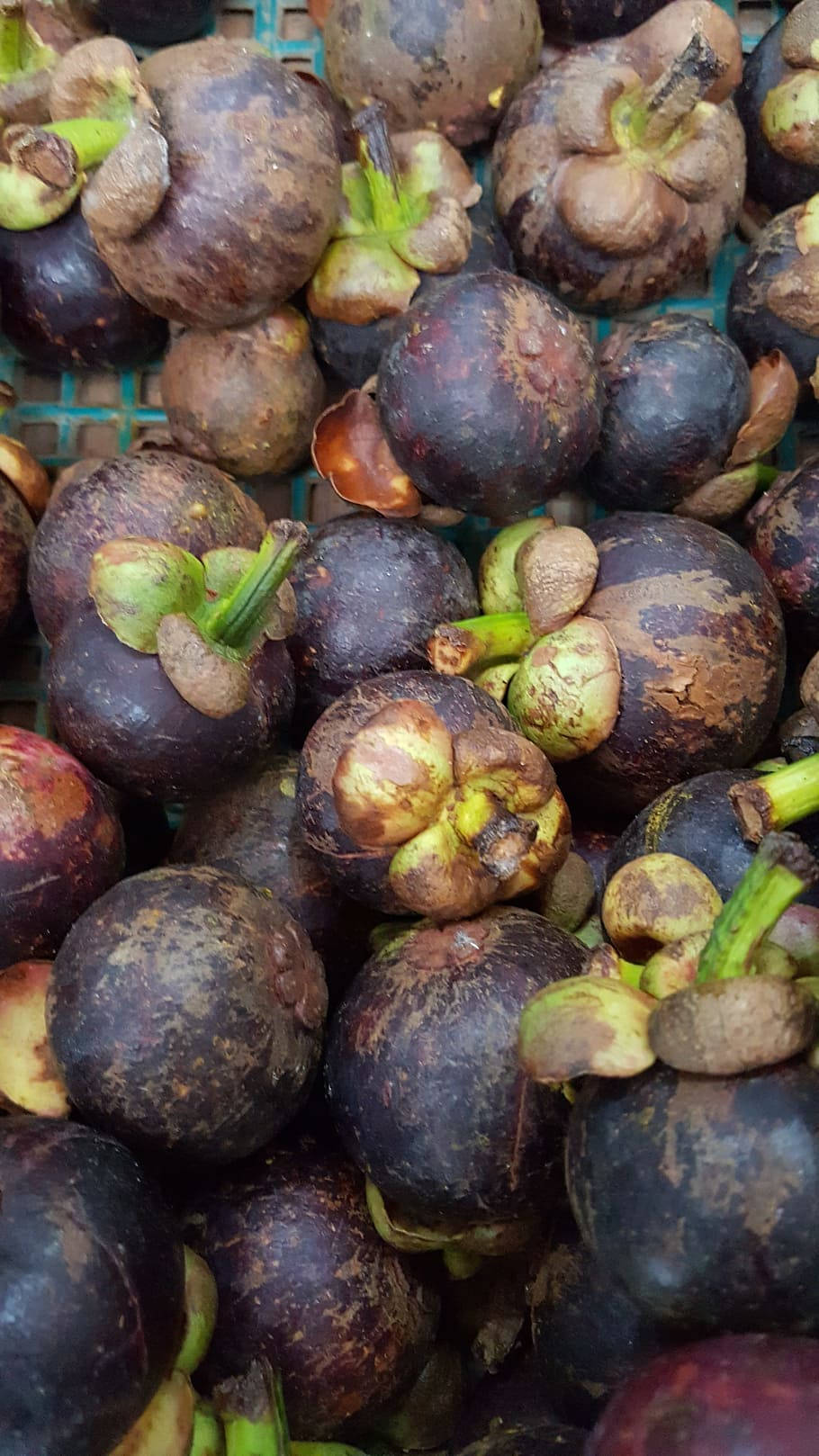 Bangkok Mangosteen Fruit Wallpaper