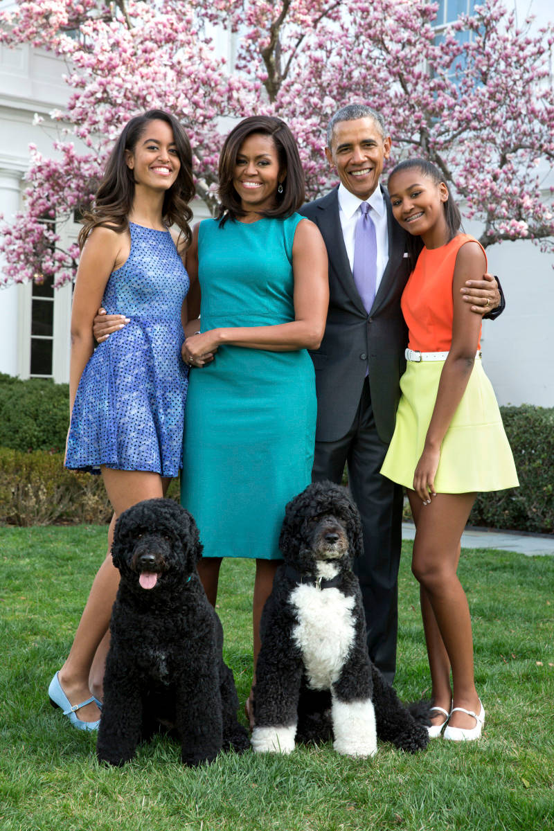 Barack And Michelle Obama Family Portrait Wallpaper