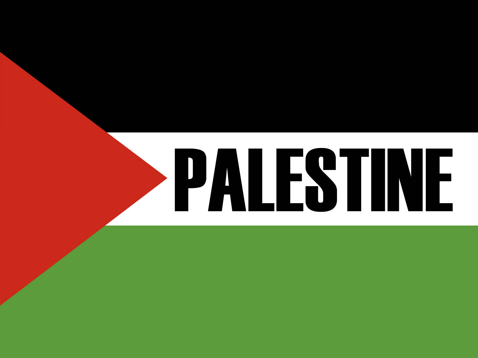 Basic Palestine Flag With Label Wallpaper