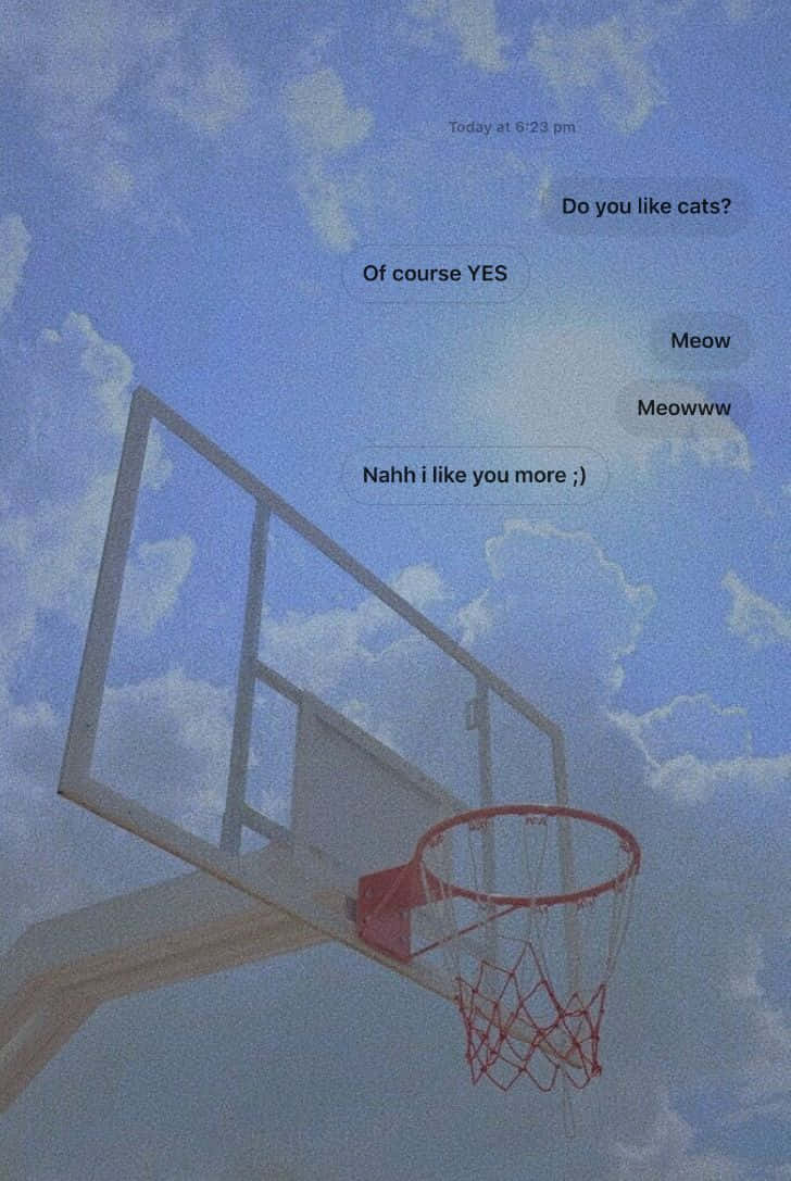 Basketball Aesthetic Chat Cats Wallpaper