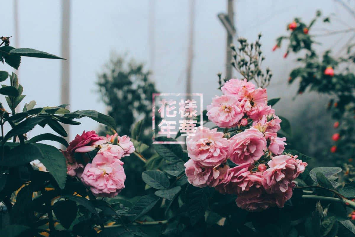 Be Inspired By This View Wallpaper