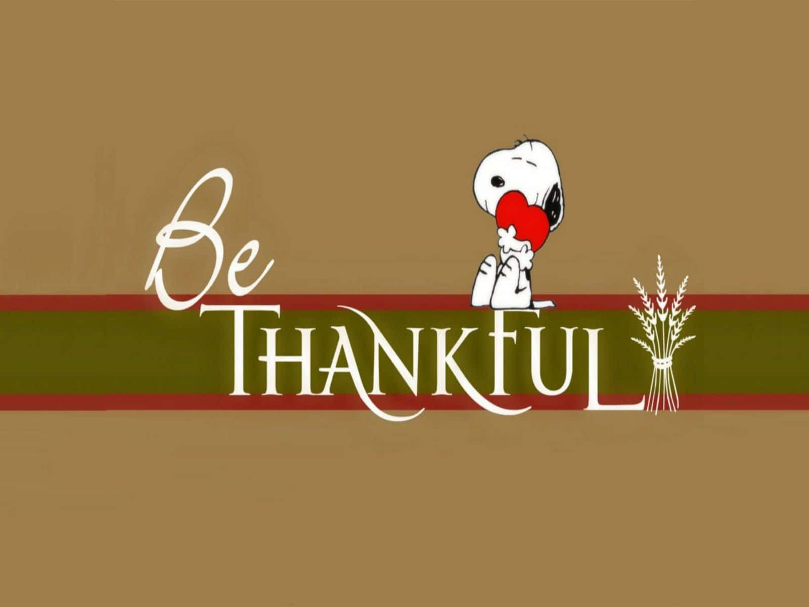 Be Thankful Wallpapers Wallpaper