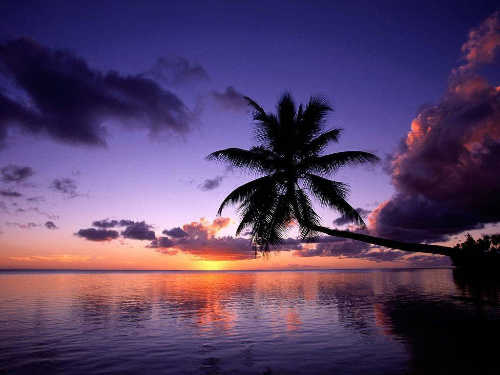 Beach Sunset On Galaxy Tablet Wallpaper