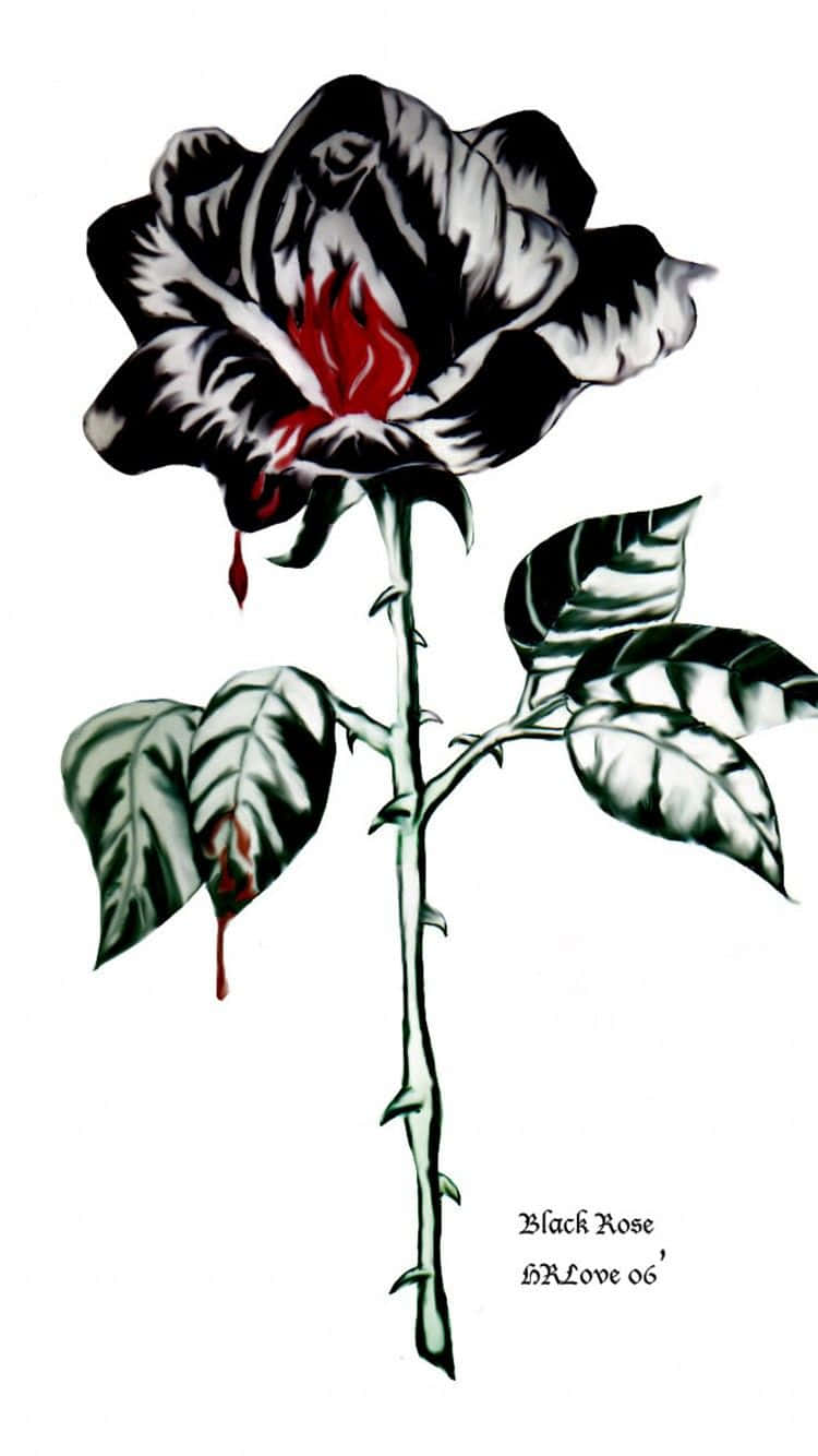 Beautiful Black Rose Aesthetic To Represent Shadow And Strength Wallpaper