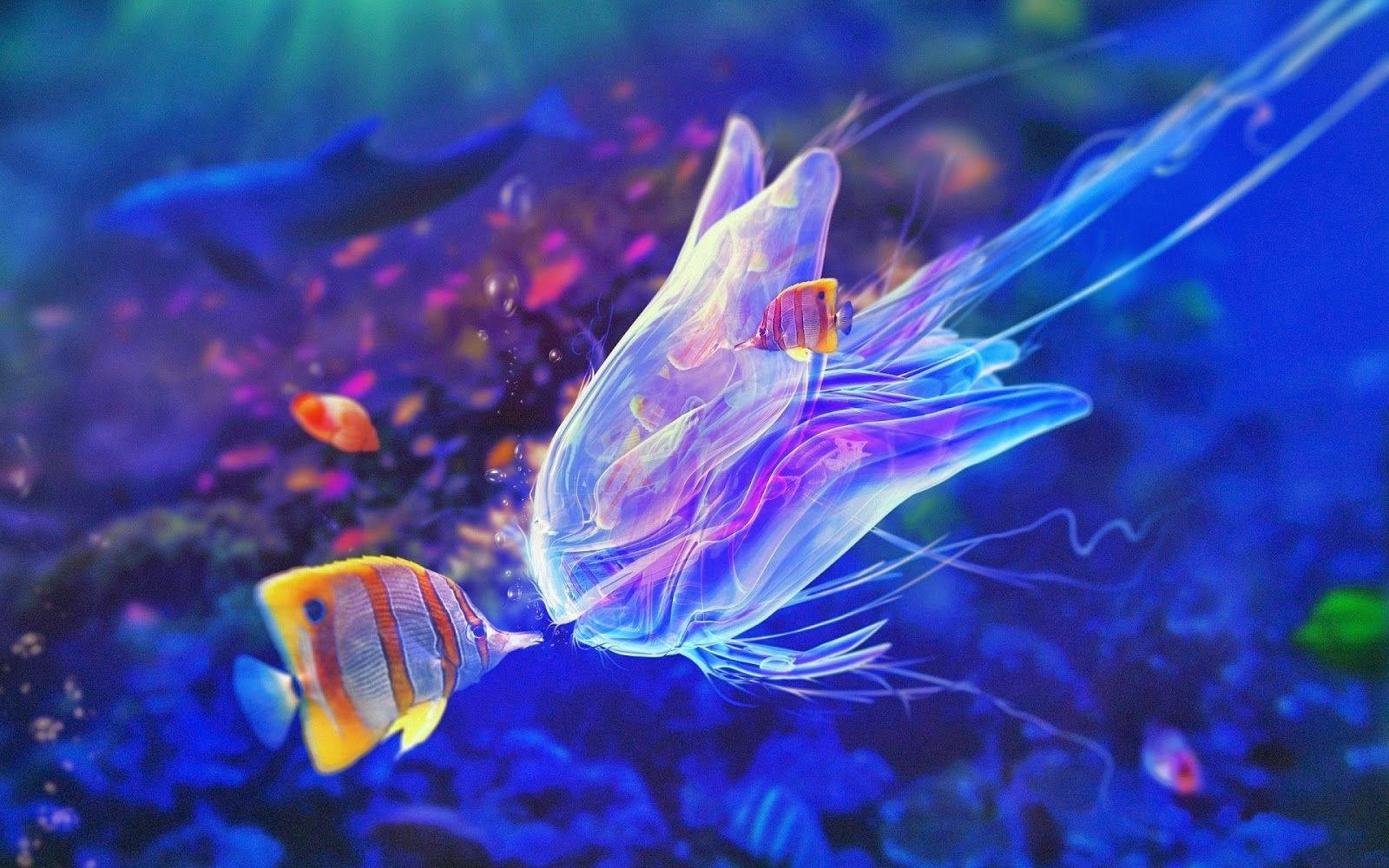 Beautiful Fish And Jellyfish Wallpaper