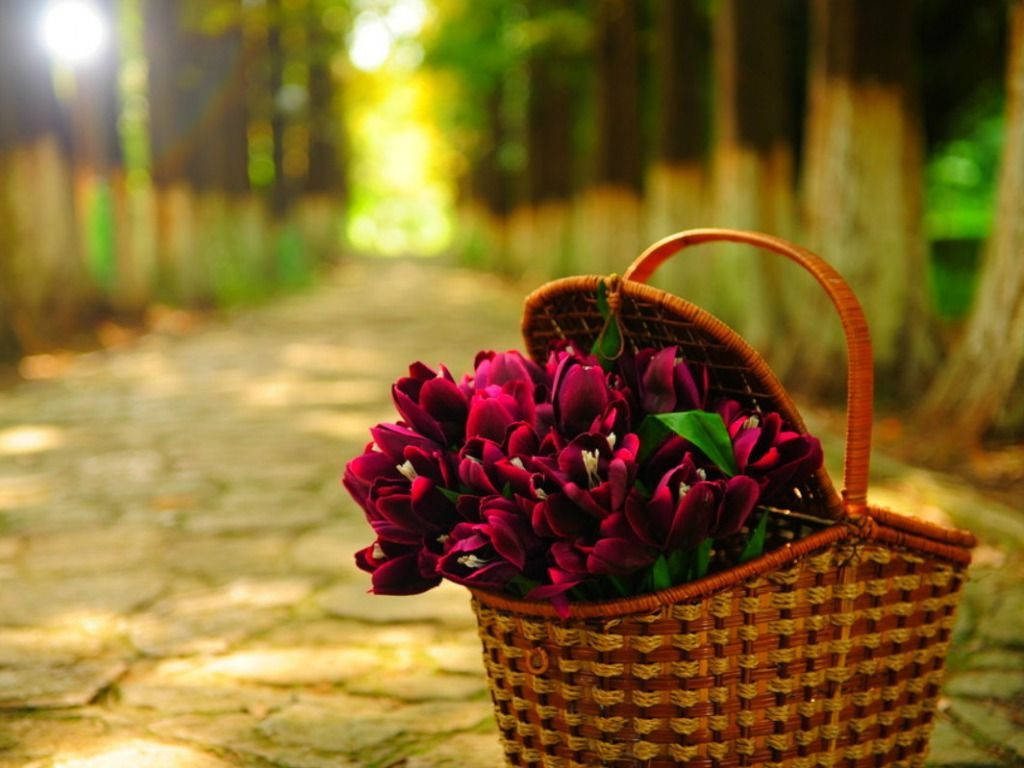 Beautiful Hd Basket Of Flowers Wallpaper