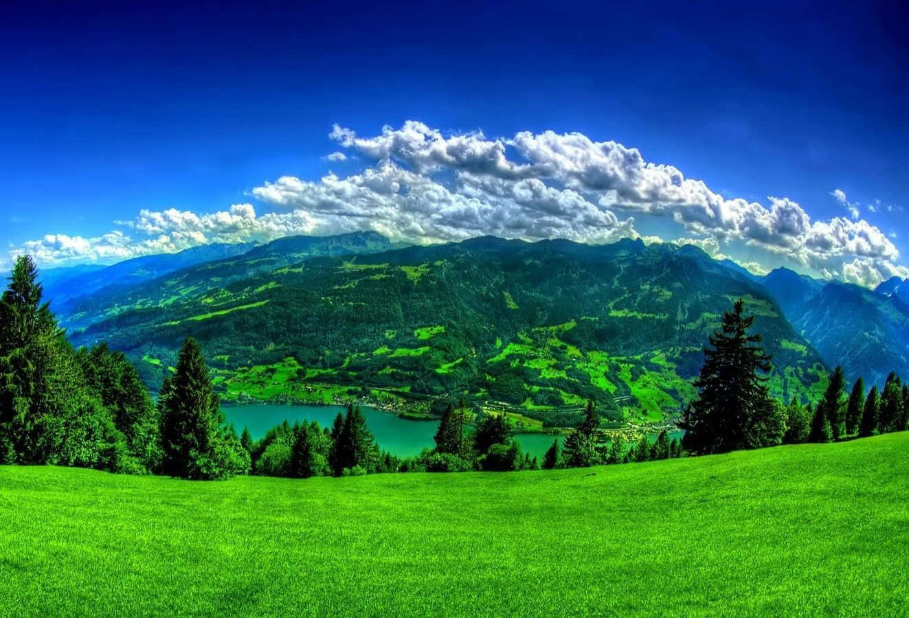 Beautiful Scenery Desktop Ichkeul Lake Wallpaper