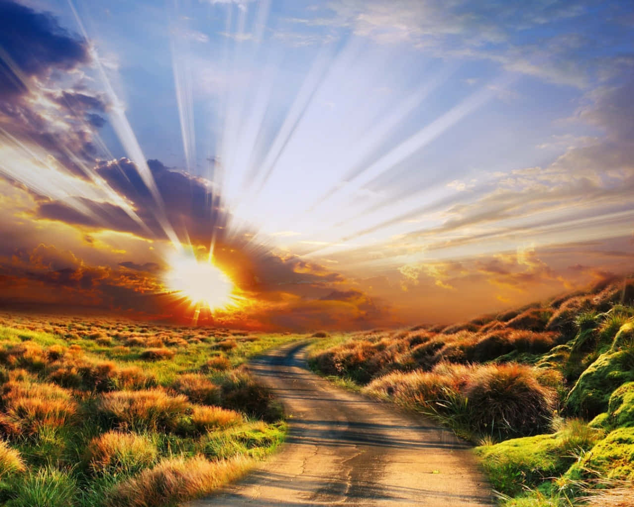 Beautiful Sun Rays Wallpaper