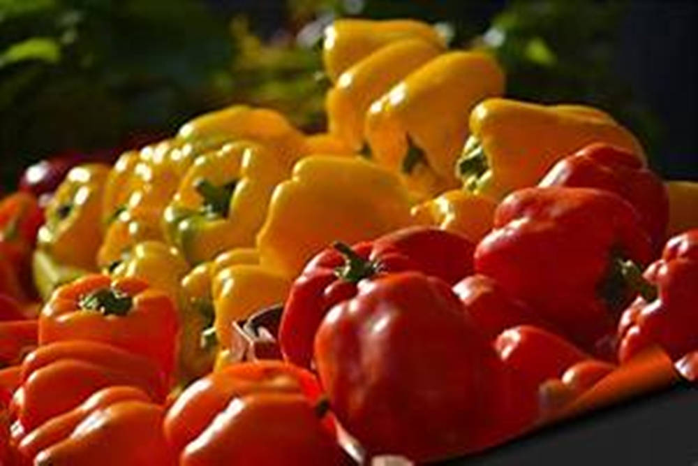 Bell Pepper Fruits Against Blurry Background Wallpaper