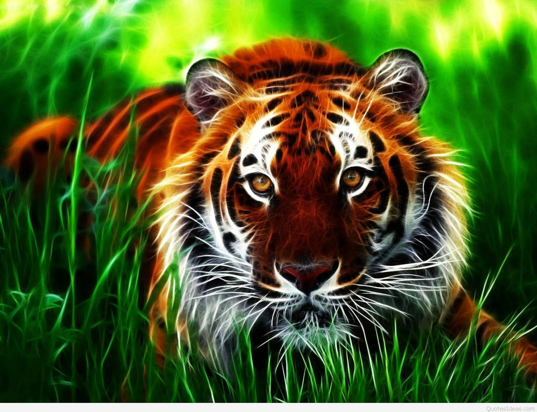 Bengal Tiger 3d Animation Wallpaper