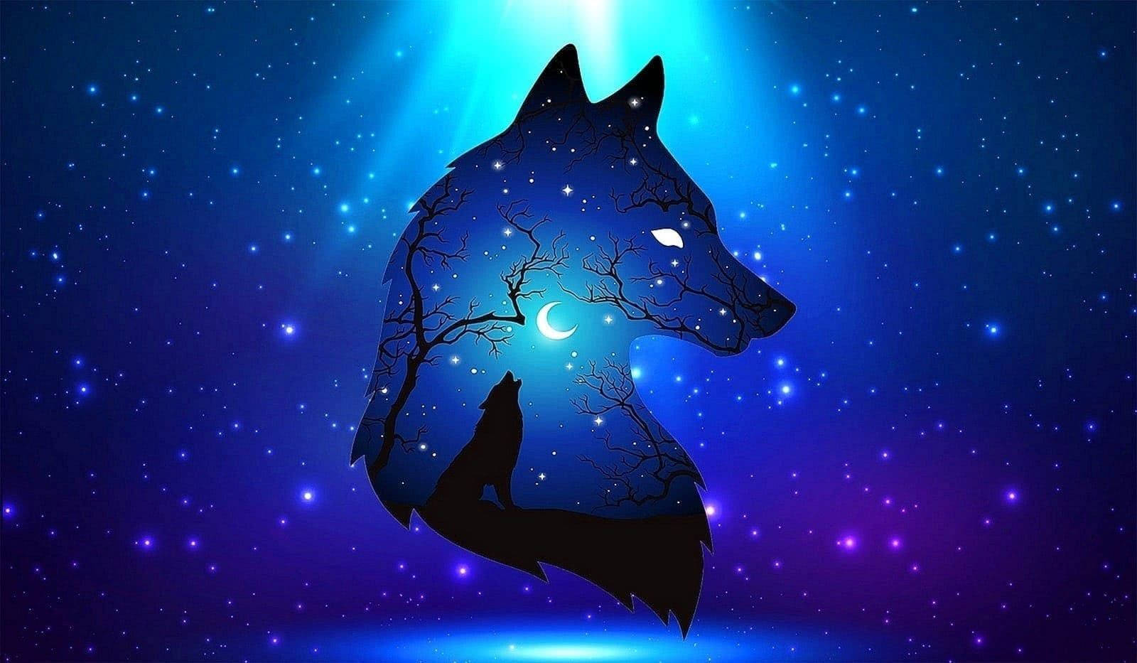 Best Cool Fox Silhouette Wallpaper
