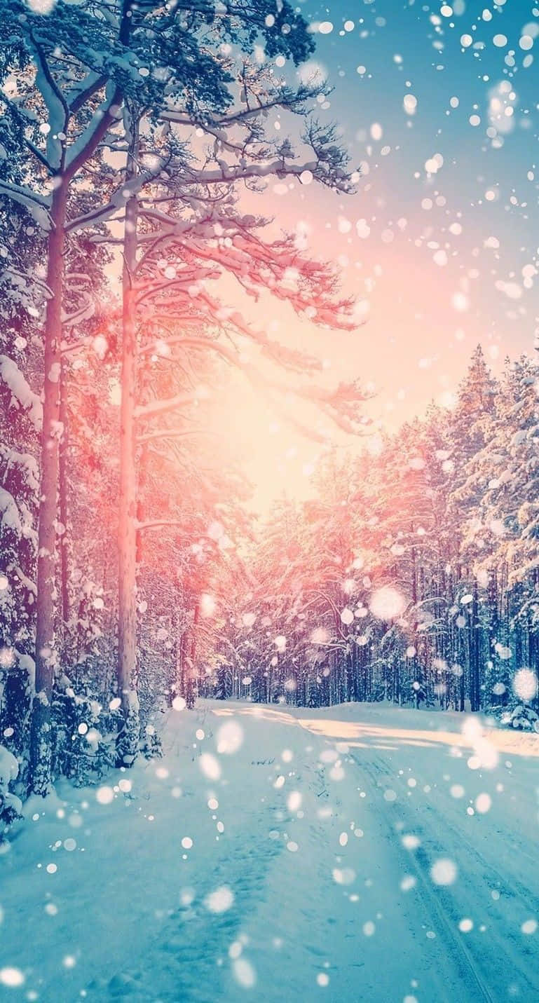 Best Winter Iphone Lock Screen Wallpaper