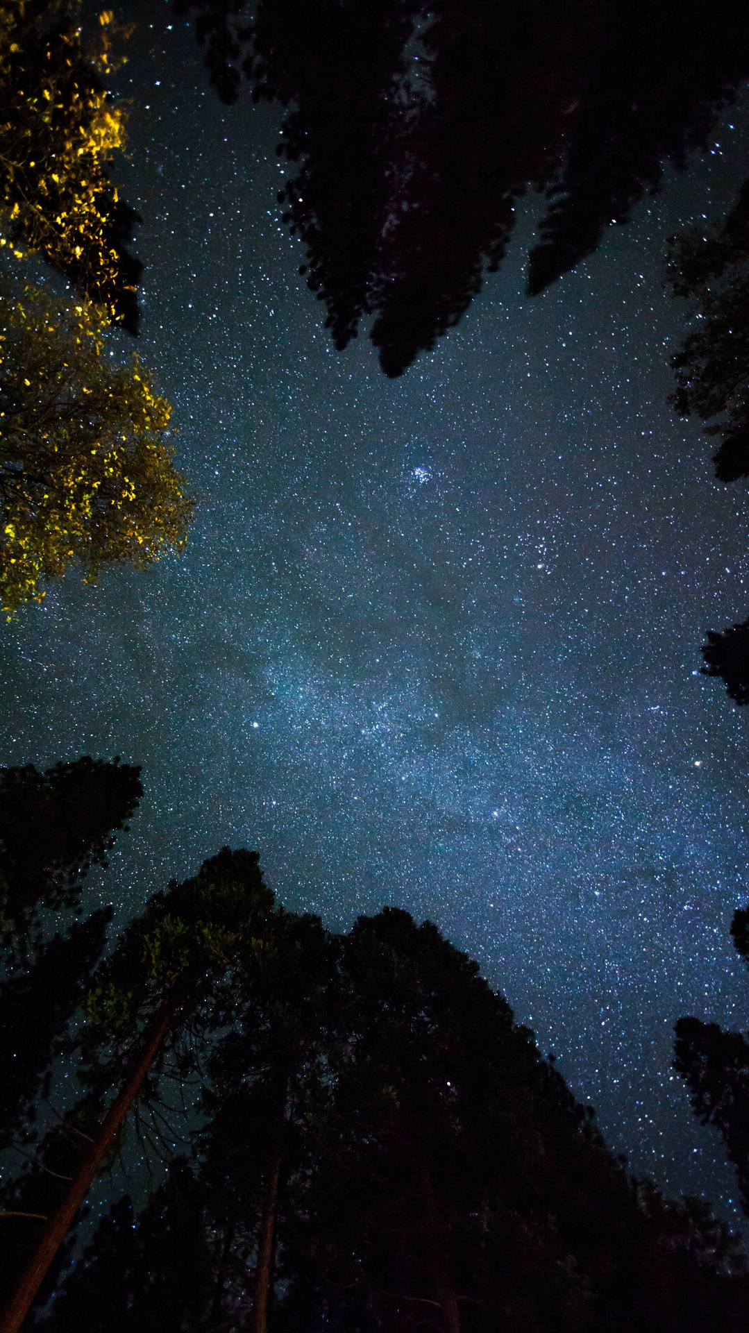 Between Trees Space 4k Phone Wallpaper