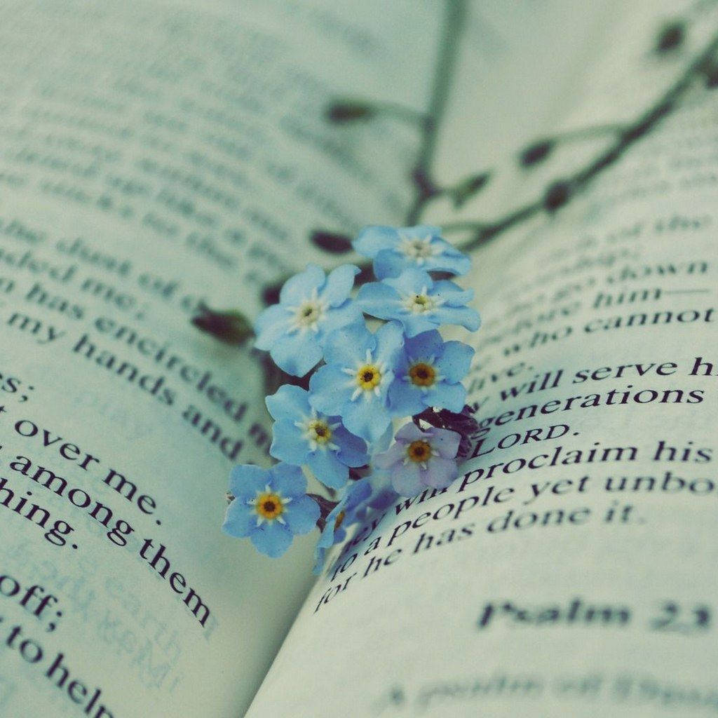 Bible And Forget Me Not Flower Wallpaper