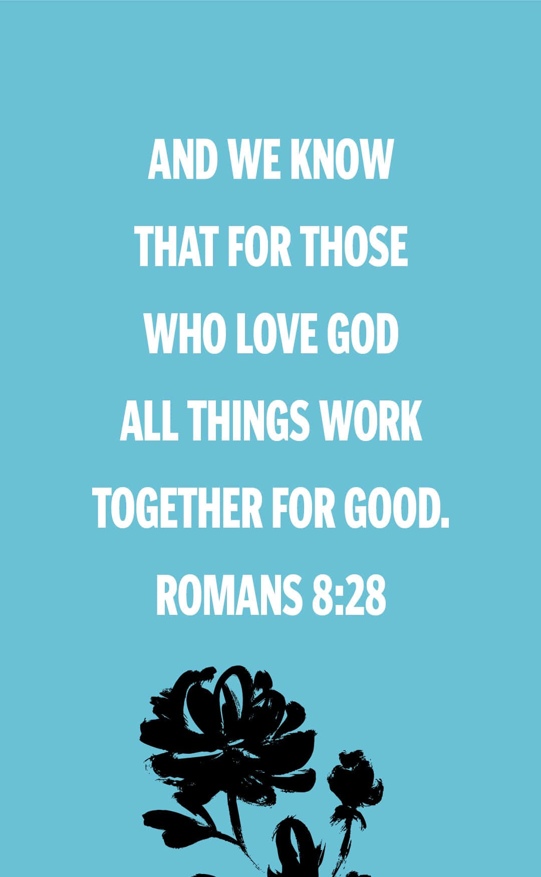 Bible Verse Phone Romans Wallpaper