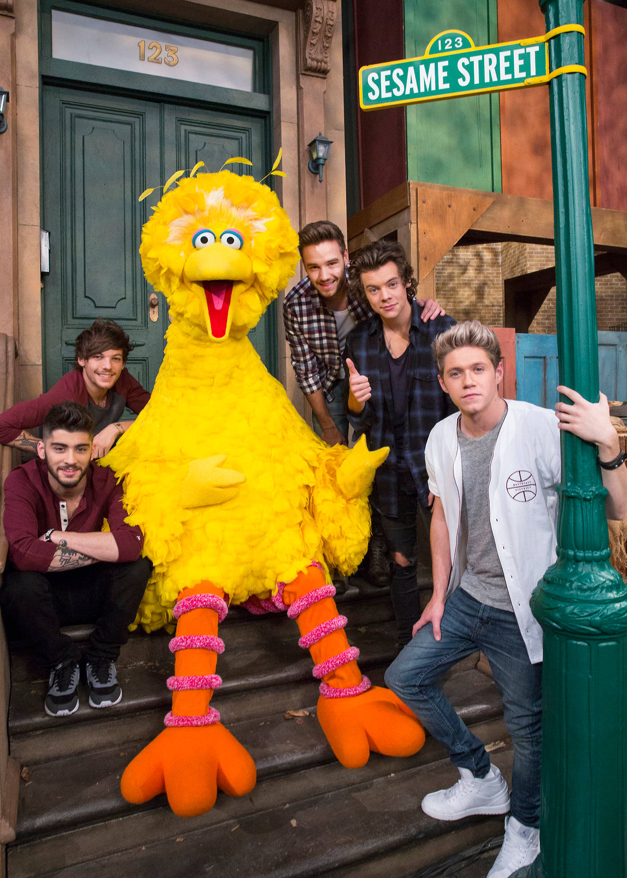 Big Bird And One Direction Wallpaper